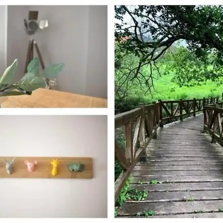 Appartement Reformado Cerca De Cabarceno *