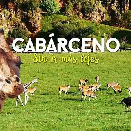 Reformado Cerca De Cabarceno * Pomaluengo