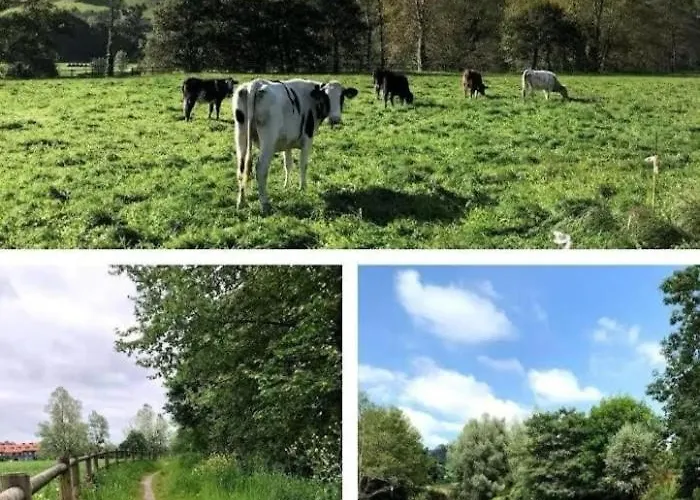 Appartement Reformado Cerca De Cabarceno Pomaluengo