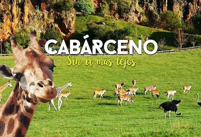 Reformado Cerca De Cabarceno * Pomaluengo